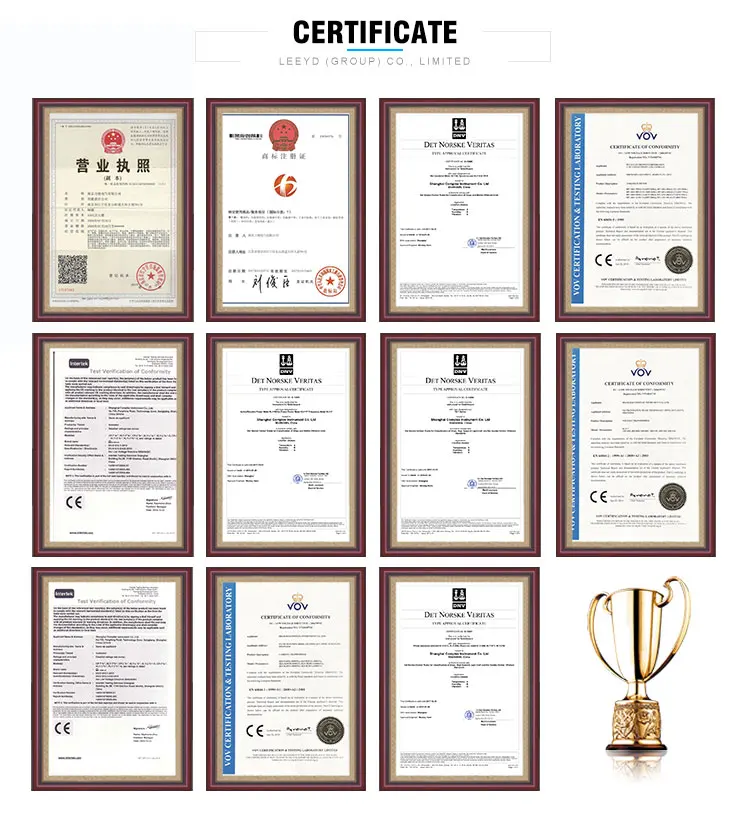 The image displays a compilation of various certificates acquired by LEEYD (GROUP) CO., LIMITED, signifying their compliance with international quality and safety standards for their DC shunt products. These certificates, including recognitions from organizations such as Det Norske Veritas (DNV) and CE marking, validate the company's commitment to excellence and trustworthiness in the electrical manufacturing industry. The inclusion of a trophy symbolizes the company's achievements and recognition within the sector.